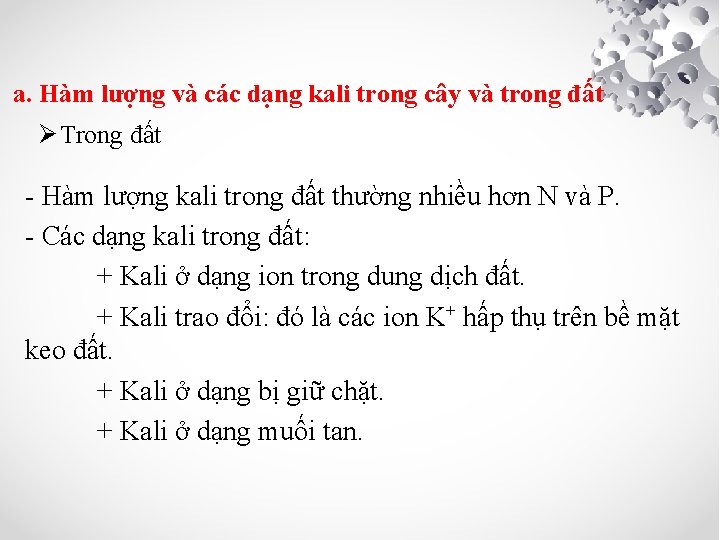 a. Hàm lượng và các dạng kali trong cây và trong đất Ø Trong