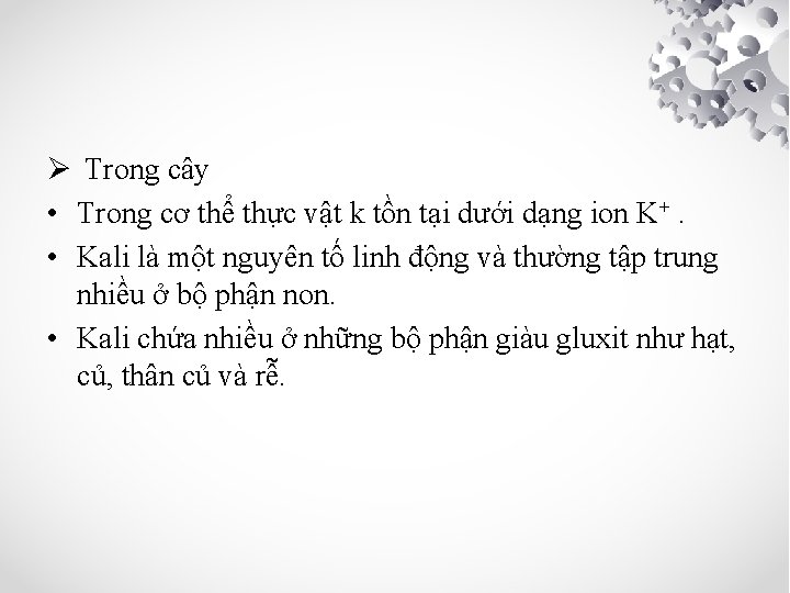 Ø Trong cây • Trong cơ thể thực vật k tồn tại dưới dạng