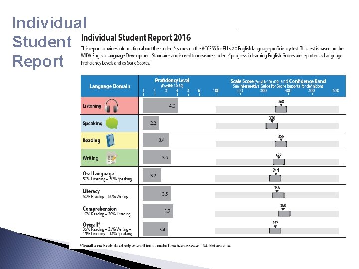 Individual Student Report 