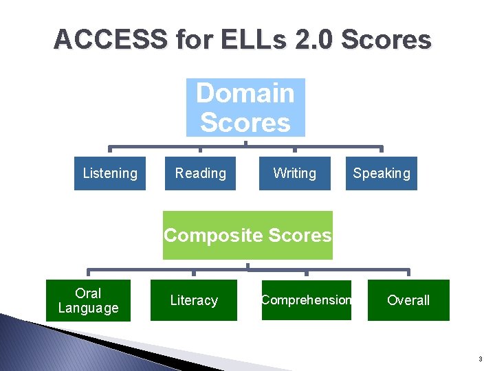 ACCESS for ELLs 2. 0 Scores Domain Scores Listening Reading Writing Speaking Composite Scores