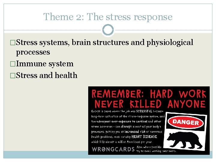 Theme 2: The stress response �Stress systems, brain structures and physiological processes �Immune system