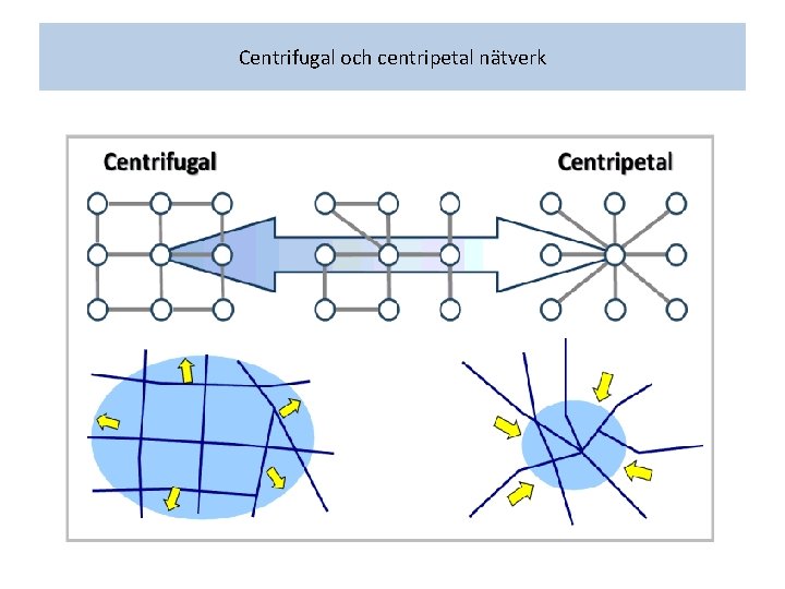 Centrifugal och centripetal nätverk 