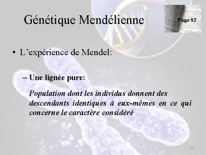 Génétique Mendélienne Page 82 • L’expérience de Mendel: – Une lignée pure: Population dont Génétique Mendélienne Page 82 • L’expérience de Mendel: – Une lignée pure: Population dont