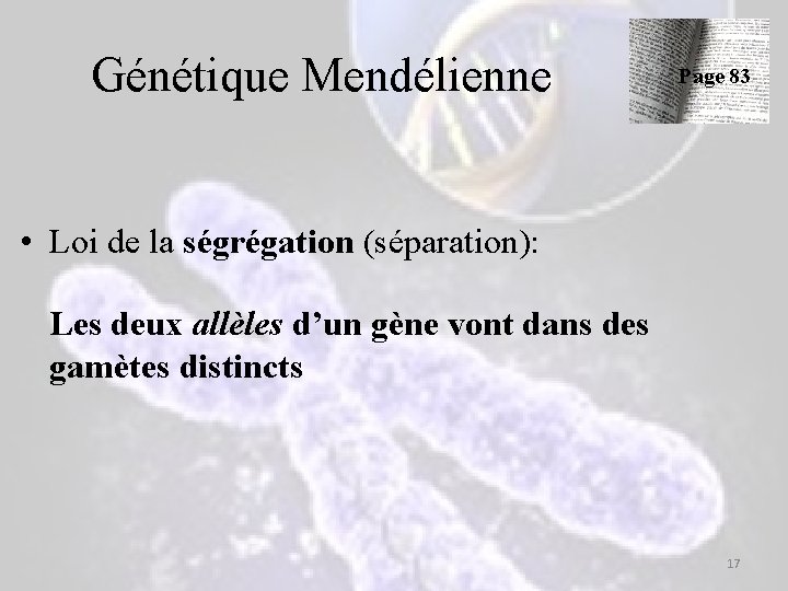 Génétique Mendélienne Page 83 • Loi de la ségrégation (séparation): Les deux allèles d’un Génétique Mendélienne Page 83 • Loi de la ségrégation (séparation): Les deux allèles d’un