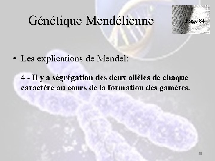 Génétique Mendélienne Page 84 • Les explications de Mendel: 4. - Il y a Génétique Mendélienne Page 84 • Les explications de Mendel: 4. - Il y a