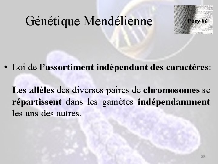 Génétique Mendélienne Page 86 • Loi de l’assortiment indépendant des caractères: Les allèles diverses Génétique Mendélienne Page 86 • Loi de l’assortiment indépendant des caractères: Les allèles diverses