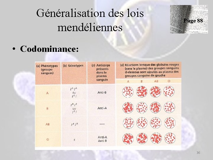 Généralisation des lois mendéliennes Page 88 • Codominance: 36 Généralisation des lois mendéliennes Page 88 • Codominance: 36