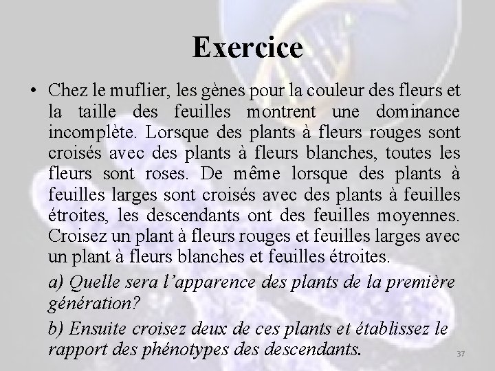 Exercice • Chez le muflier, les gènes pour la couleur des fleurs et la Exercice • Chez le muflier, les gènes pour la couleur des fleurs et la