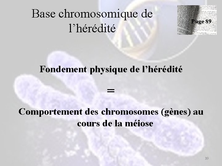 Base chromosomique de l’hérédité Page 89 Fondement physique de l’hérédité = Comportement des chromosomes Base chromosomique de l’hérédité Page 89 Fondement physique de l’hérédité = Comportement des chromosomes