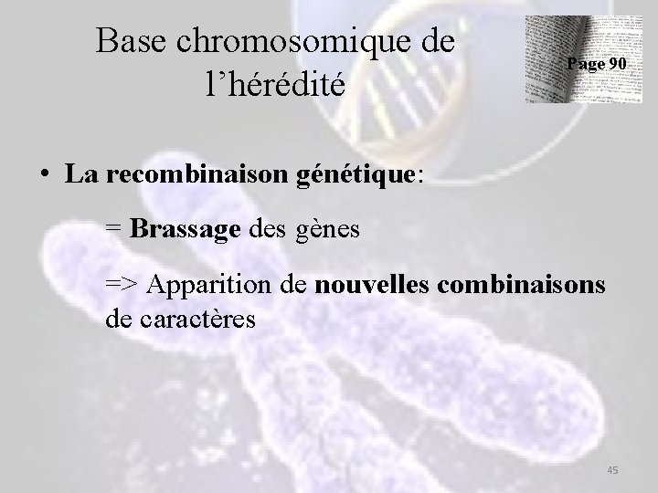 Base chromosomique de l’hérédité Page 90 • La recombinaison génétique: = Brassage des gènes Base chromosomique de l’hérédité Page 90 • La recombinaison génétique: = Brassage des gènes