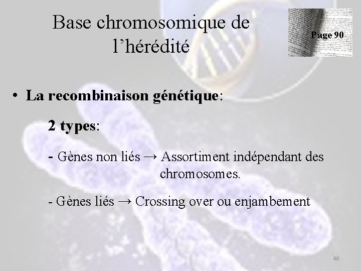 Base chromosomique de l’hérédité Page 90 • La recombinaison génétique: 2 types: - Gènes Base chromosomique de l’hérédité Page 90 • La recombinaison génétique: 2 types: - Gènes