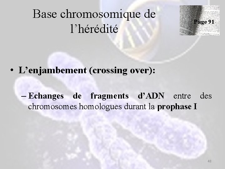 Base chromosomique de l’hérédité Page 91 • L’enjambement (crossing over): – Echanges de fragments Base chromosomique de l’hérédité Page 91 • L’enjambement (crossing over): – Echanges de fragments