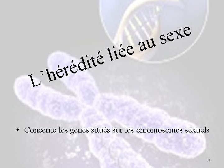 e x e s u a e é i l é t i d e x e s u a e é i l é t i d