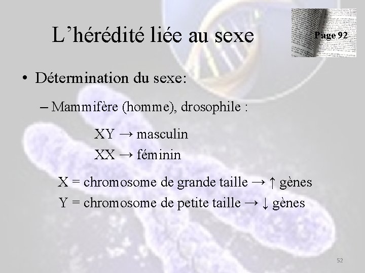 L’hérédité liée au sexe Page 92 • Détermination du sexe: – Mammifère (homme), drosophile L’hérédité liée au sexe Page 92 • Détermination du sexe: – Mammifère (homme), drosophile
