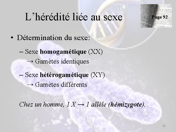L’hérédité liée au sexe Page 92 • Détermination du sexe: – Sexe homogamétique (XX) L’hérédité liée au sexe Page 92 • Détermination du sexe: – Sexe homogamétique (XX)