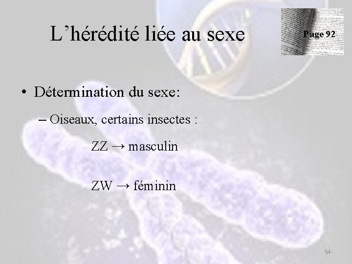 L’hérédité liée au sexe Page 92 • Détermination du sexe: – Oiseaux, certains insectes L’hérédité liée au sexe Page 92 • Détermination du sexe: – Oiseaux, certains insectes