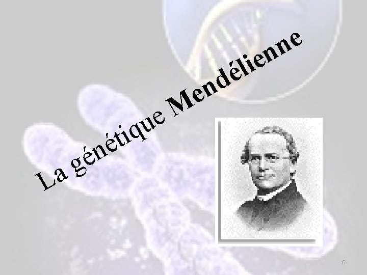 e n n e i l é d en q i ét n é e n n e i l é d en q i ét n é