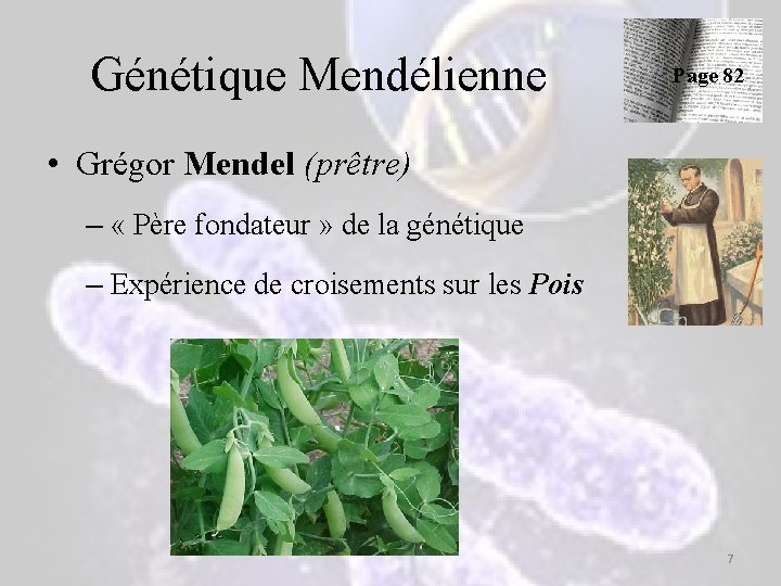 Génétique Mendélienne Page 82 • Grégor Mendel (prêtre) – « Père fondateur » de Génétique Mendélienne Page 82 • Grégor Mendel (prêtre) – « Père fondateur » de