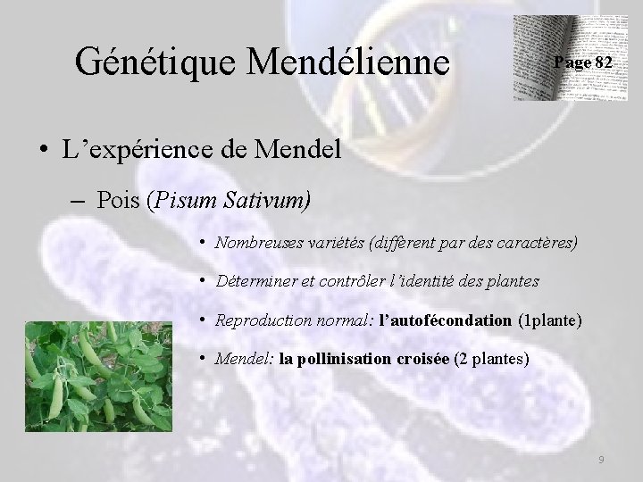 Génétique Mendélienne Page 82 • L’expérience de Mendel – Pois (Pisum Sativum) • Nombreuses Génétique Mendélienne Page 82 • L’expérience de Mendel – Pois (Pisum Sativum) • Nombreuses