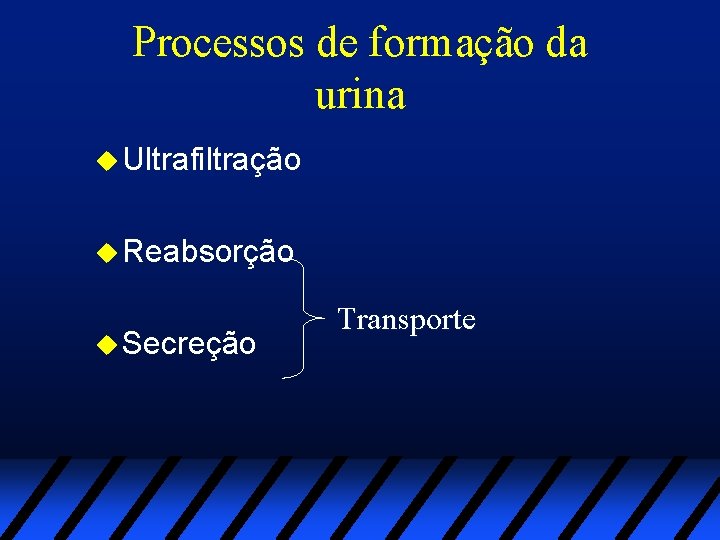 Processos de formação da urina u Ultrafiltração u Reabsorção u Secreção Transporte 