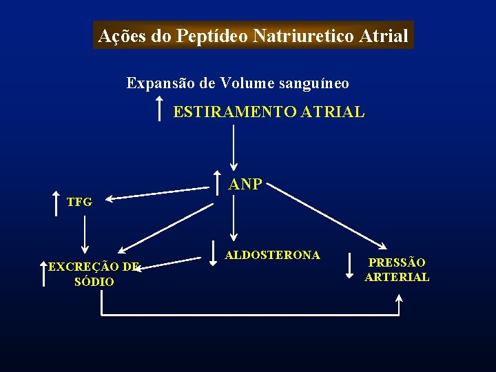 Ações do Peptídeo Natriuretico Atrial Expansão de Volume sanguíneo ESTIRAMENTO ATRIAL ANP TFG EXCREÇÃO