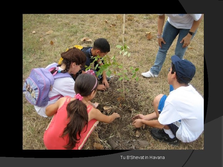 Tu B’Shevat in Havana 