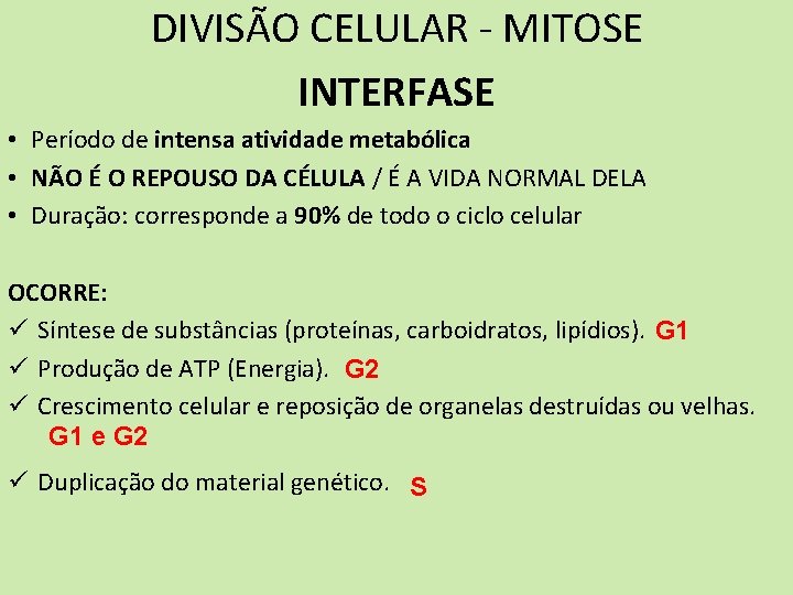 DIVISÃO CELULAR - MITOSE INTERFASE • Período de intensa atividade metabólica • NÃO É DIVISÃO CELULAR - MITOSE INTERFASE • Período de intensa atividade metabólica • NÃO É