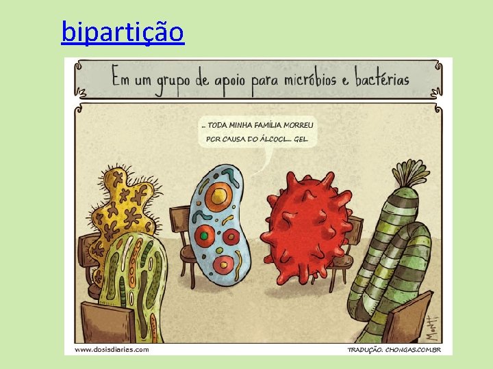 bipartição bipartição