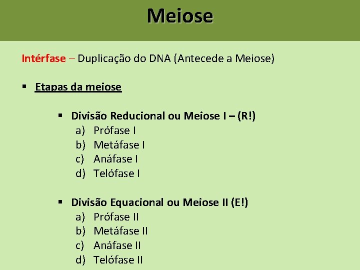 Meiose Intérfase – Duplicação do DNA (Antecede a Meiose) § Etapas da meiose § Meiose Intérfase – Duplicação do DNA (Antecede a Meiose) § Etapas da meiose §