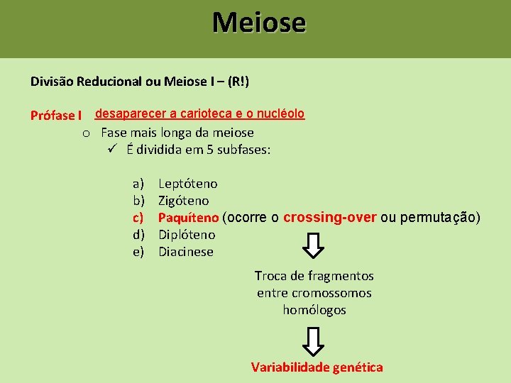 Meiose Divisão Reducional ou Meiose I – (R!) Prófase I desaparecer a carioteca e Meiose Divisão Reducional ou Meiose I – (R!) Prófase I desaparecer a carioteca e