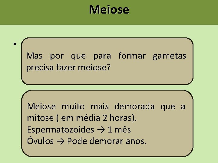 Meiose § Finalidades da Meiose (R!) Mas por que para formar gametas o Formação Meiose § Finalidades da Meiose (R!) Mas por que para formar gametas o Formação