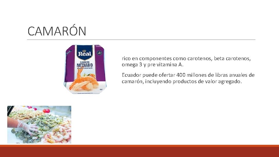 CAMARÓN rico en componentes como carotenos, beta carotenos, omega 3 y pre vitamina A.