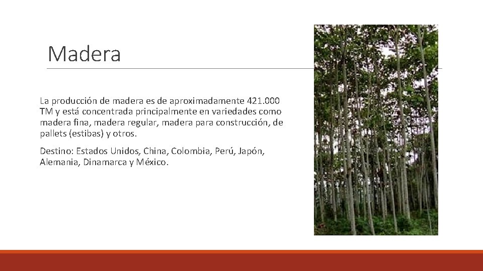 Madera La producción de madera es de aproximadamente 421. 000 TM y está concentrada