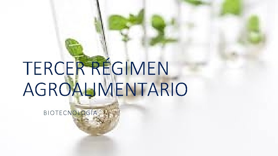 TERCER RÉGIMEN AGROALIMENTARIO BIOTECNOLOGÍA 