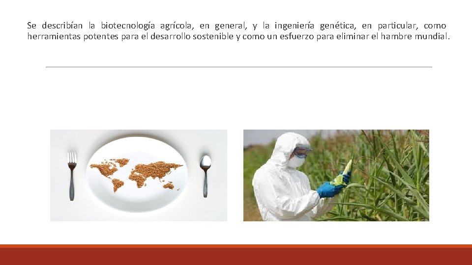  Se describían la biotecnología agrícola, en general, y la ingeniería genética, en particular,