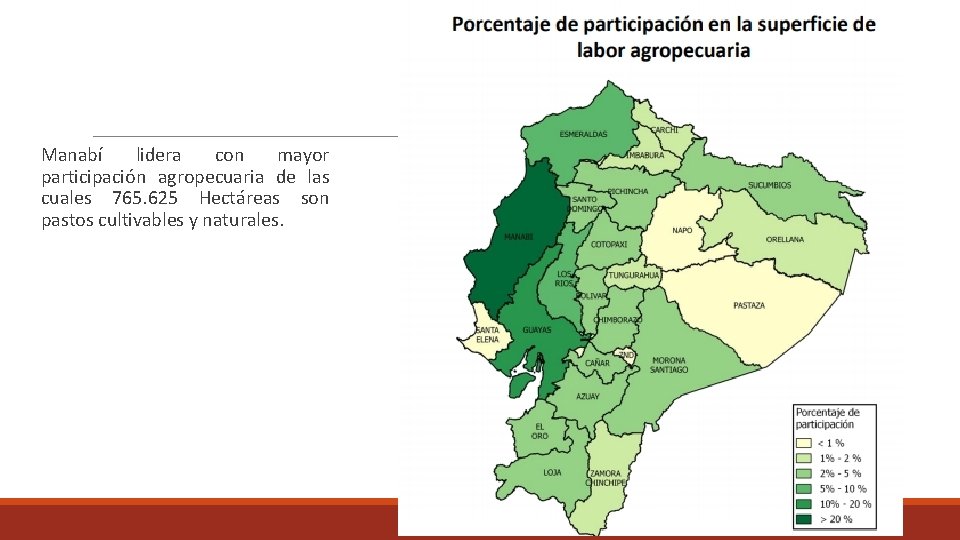  Manabí lidera con mayor participación agropecuaria de las cuales 765. 625 Hectáreas son