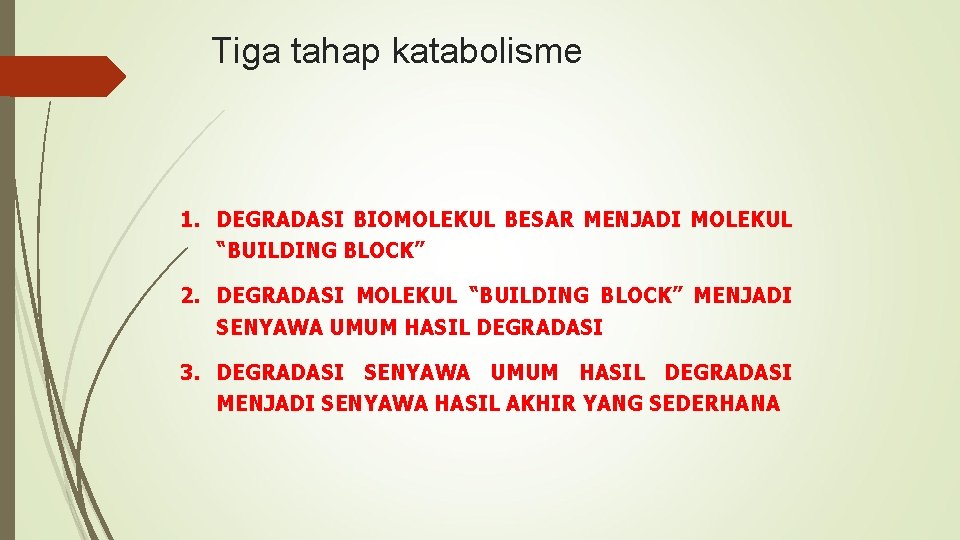 Tiga tahap katabolisme 1. DEGRADASI BIOMOLEKUL BESAR MENJADI MOLEKUL “BUILDING BLOCK” 2. DEGRADASI MOLEKUL