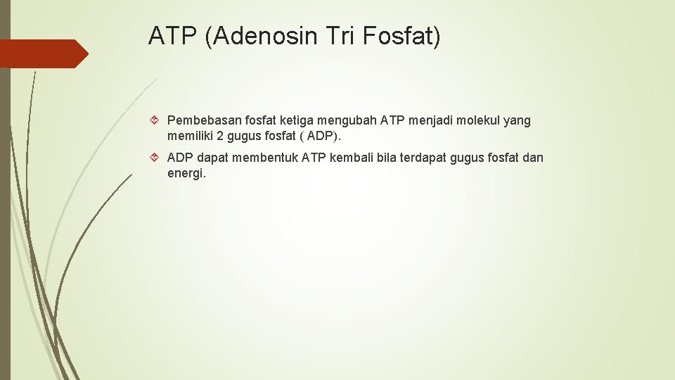 ATP (Adenosin Tri Fosfat) Pembebasan fosfat ketiga mengubah ATP menjadi molekul yang memiliki 2