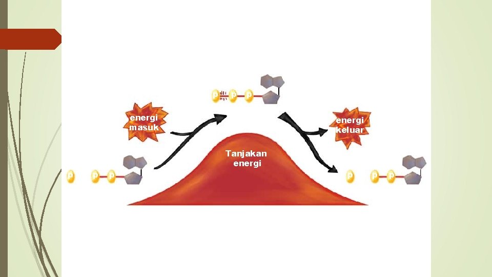 p energi masuk p P+ p p ADP p p ATP Tanjakan energi keluar