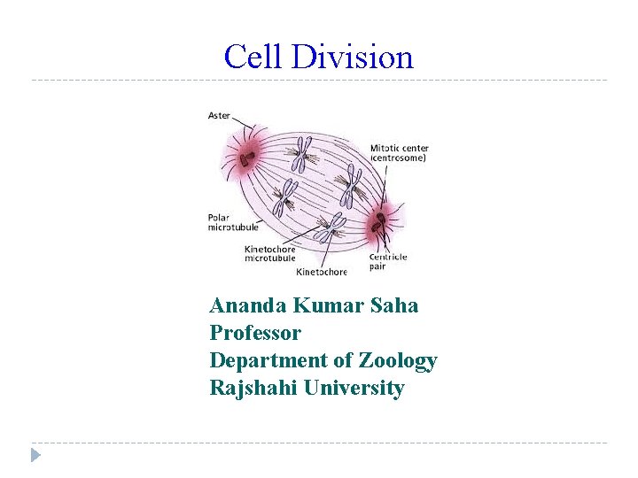 Cell Division Ananda Kumar Saha Professor Department of Zoology Rajshahi University 