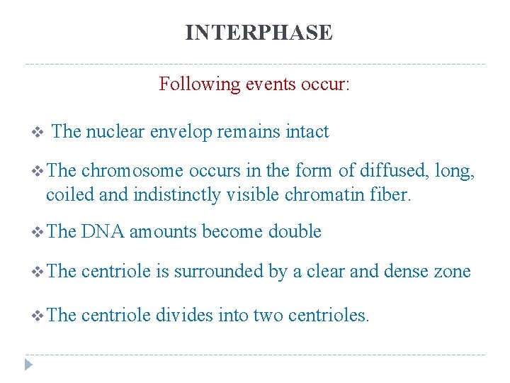 INTERPHASE Following events occur: v The nuclear envelop remains intact v The chromosome occurs