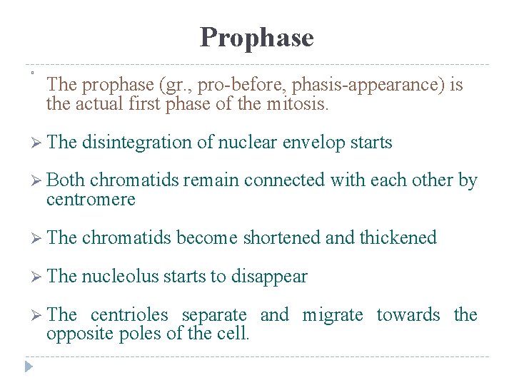 Prophase � The prophase (gr. , pro-before, phasis-appearance) is the actual first phase of