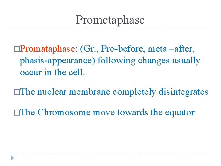 Prometaphase �Promataphase: (Gr. , Pro-before, meta –after, phasis-appearance) following changes usually occur in the