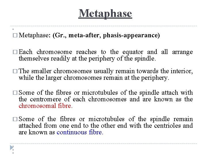 Metaphase � � Metaphase: (Gr. , meta-after, phasis-appearance) � Each chromosome reaches to the