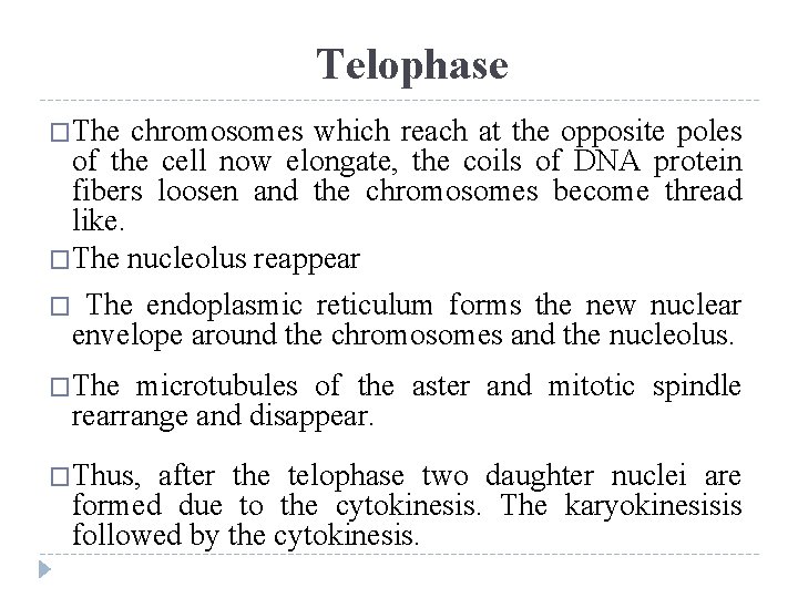 Telophase at the opposite poles �The chromosomes which reach of the cell now elongate,