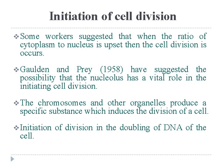 Initiation of cell division v Some workers suggested that when the ratio of cytoplasm
