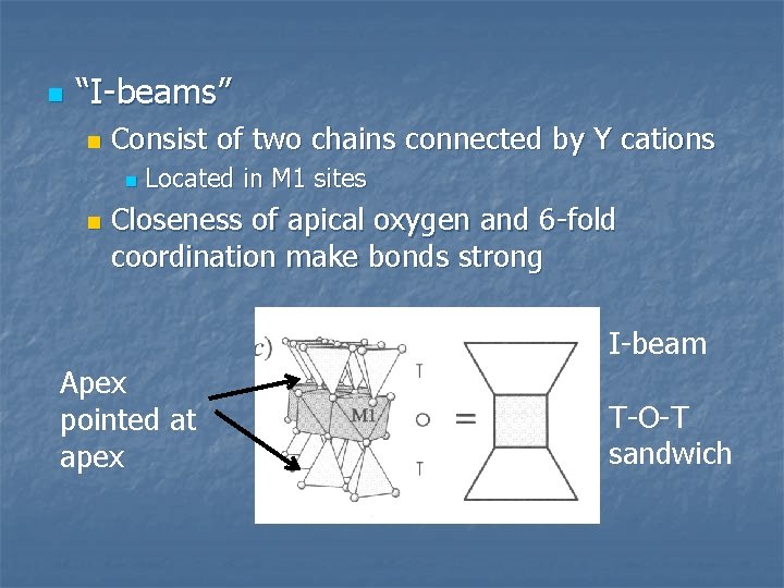 n “I-beams” n Consist of two chains connected by Y cations n n Located
