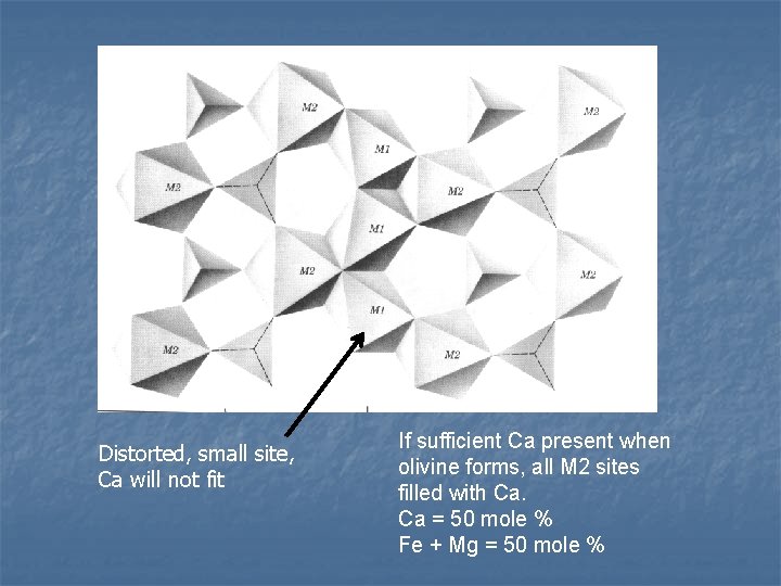 Distorted, small site, Ca will not fit If sufficient Ca present when olivine forms,