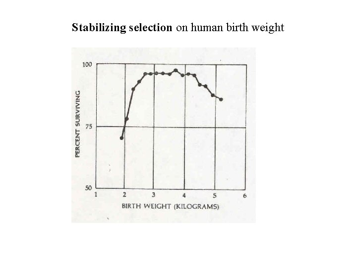 Stabilizing selection on human birth weight 
