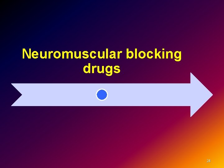 Neuromuscular blocking drugs 24 